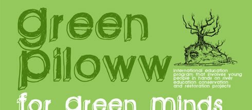 8 green piloww