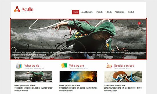 Acallian HTML5 and CSS3 Templates Free 30+ Free HTML5 and CSS3 Templates