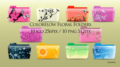 colorflow floral folder