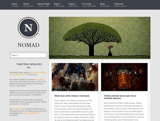 Nomad 48 Best WordPress Personal Blog Themes