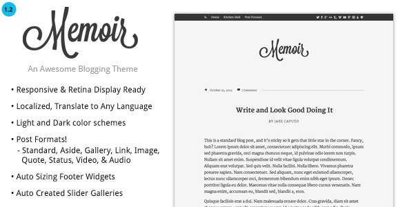 memoir tumblog style wordpress theme 48 Best WordPress Personal Blog Themes