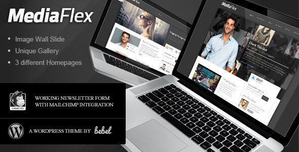 media-flex-unique-wordpress-agency