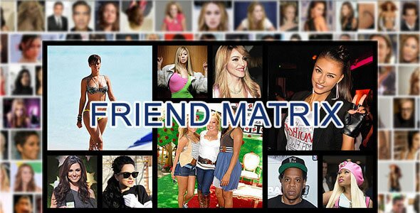facebook-campaign-friend-matrix
