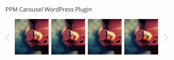ppm carousel wordpress plugin 30 Useful WordPress Carousel Plugins