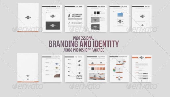 professional branding identity package