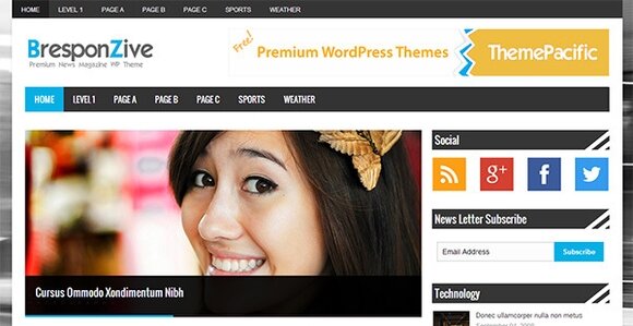 bresponzive - free wordpress themes 2013