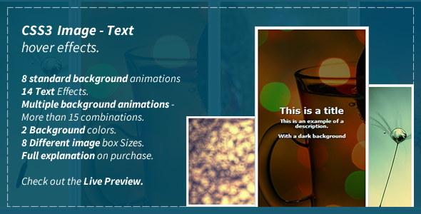 CSS3 Image Text Hover Effects
