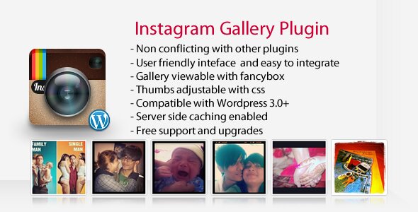 Instagram Gallery WordPress Plugi