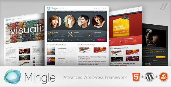 mingle multi purpose wp 11 Premium BuddyPress WordPress Themes