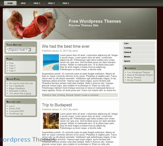 digestion health wp 12 Free & Premium Dental and Medical WordPess Themes
