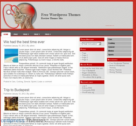 head concussion wp 12 Free & Premium Dental and Medical WordPess Themes