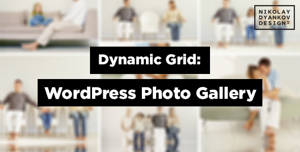 dynamic grid 11 Best WordPress Grid Gallery Plugins